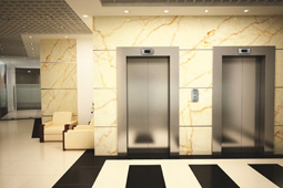 Thang Máy Tải Khách Đại Việt